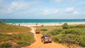 Cape york travel guide